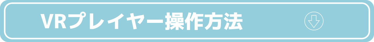 VRプレイヤー操作方法.jpg